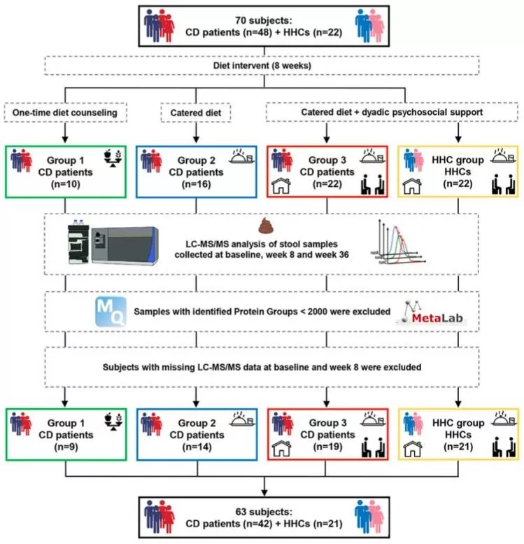 Participant Sample Size and Experimental Workflow